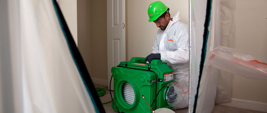 San Ramon, CA mold cleanup